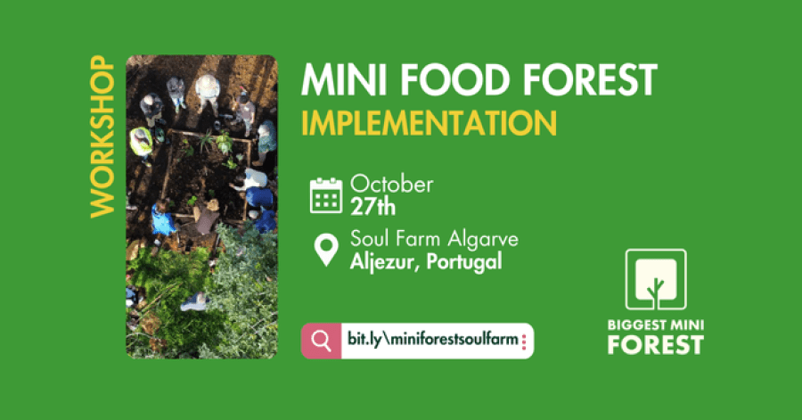 Mini Food Forest: Implementation Workshop
