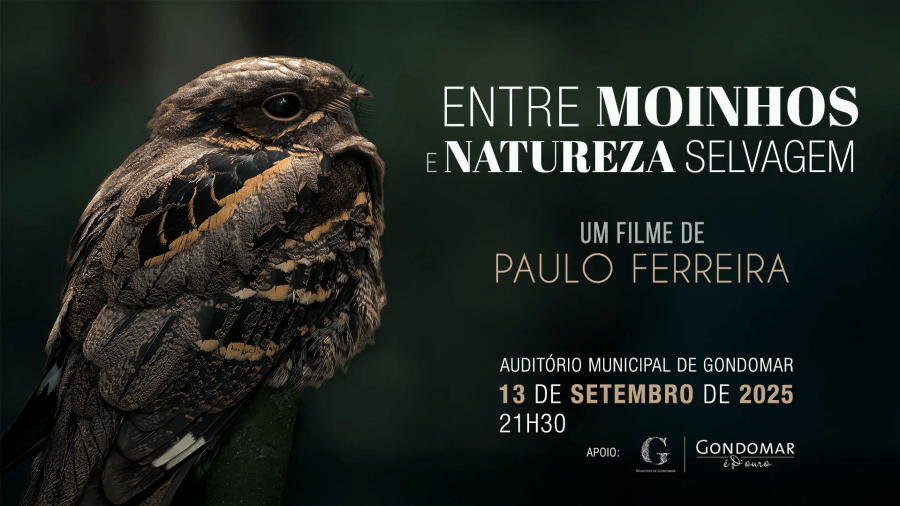 Entre Moinhos e Natureza Selvagem