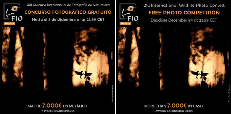 BASES FIO 2026 | Concurso fotográfico de naturaleza 'Las Aves Silvestres'