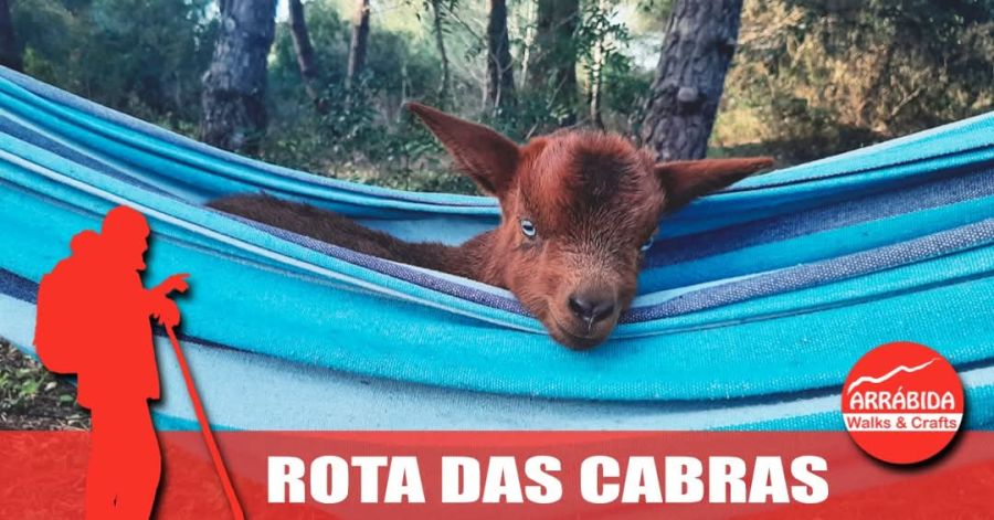 Caminhada . Rota das Cabras . Azeitão 