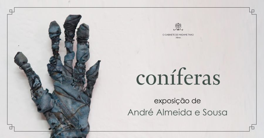 Coníferas .  Exposição de André Almeida e Sousa