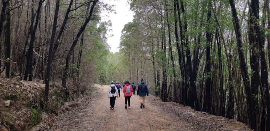 Pelos Trilhos da Barragem do Rio da Mula - Caminhada de Conexão com a Natureza