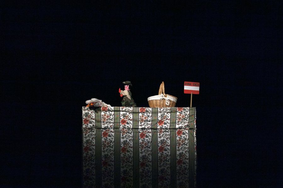 O CAÇADOR - Novo reportório Teatro D. Roberto #marionetas