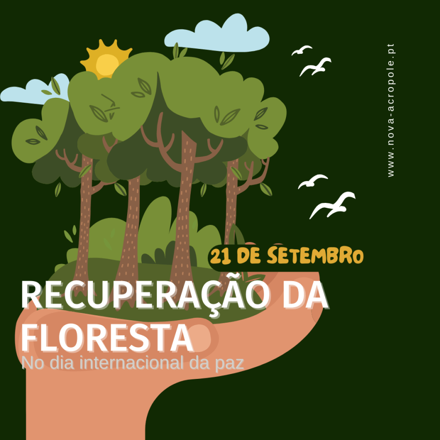 Recuperação da floresta – Dia da paz