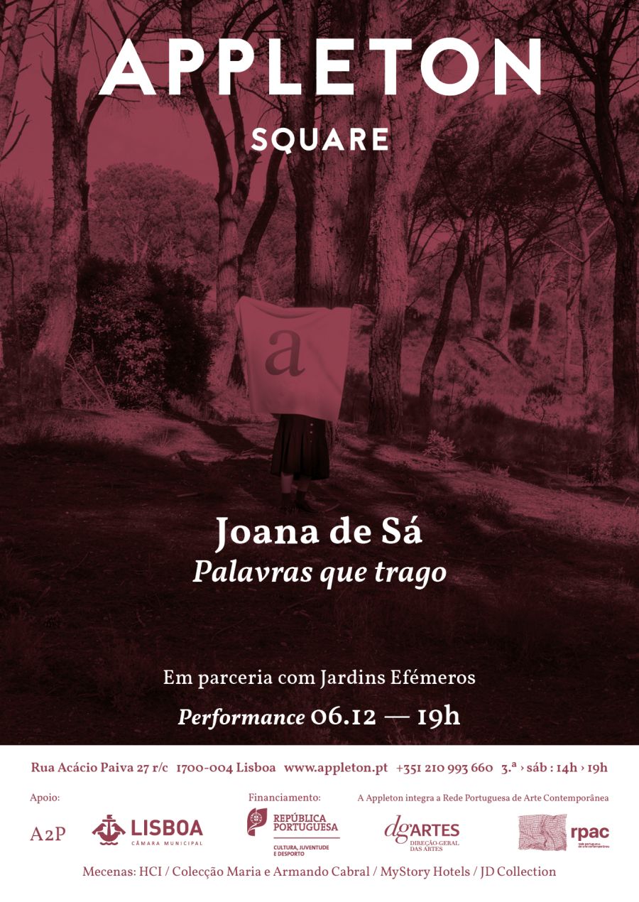 Joana de Sá: Palavras que trago