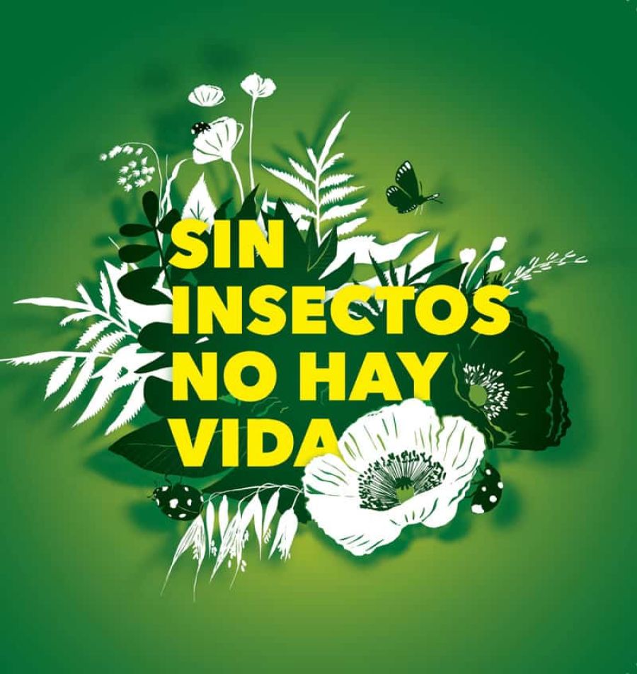 Insectos, amigos invisibles. Exposición