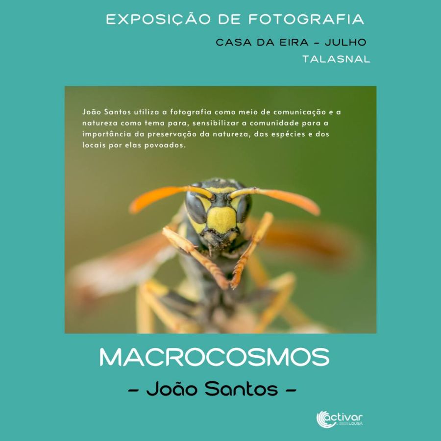 MACROCOSMOS - EXPOSIÇÃO DE FOTOGRAFIA