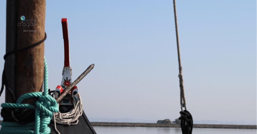 Passeio de Barco Moliceiro em pleno coração da Ria de Aveiro