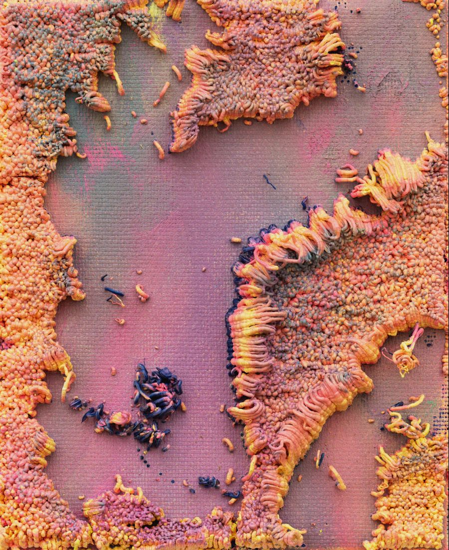 Gentle Persuasion, exposição individual de Dejan Dukic na KUBIK Porto