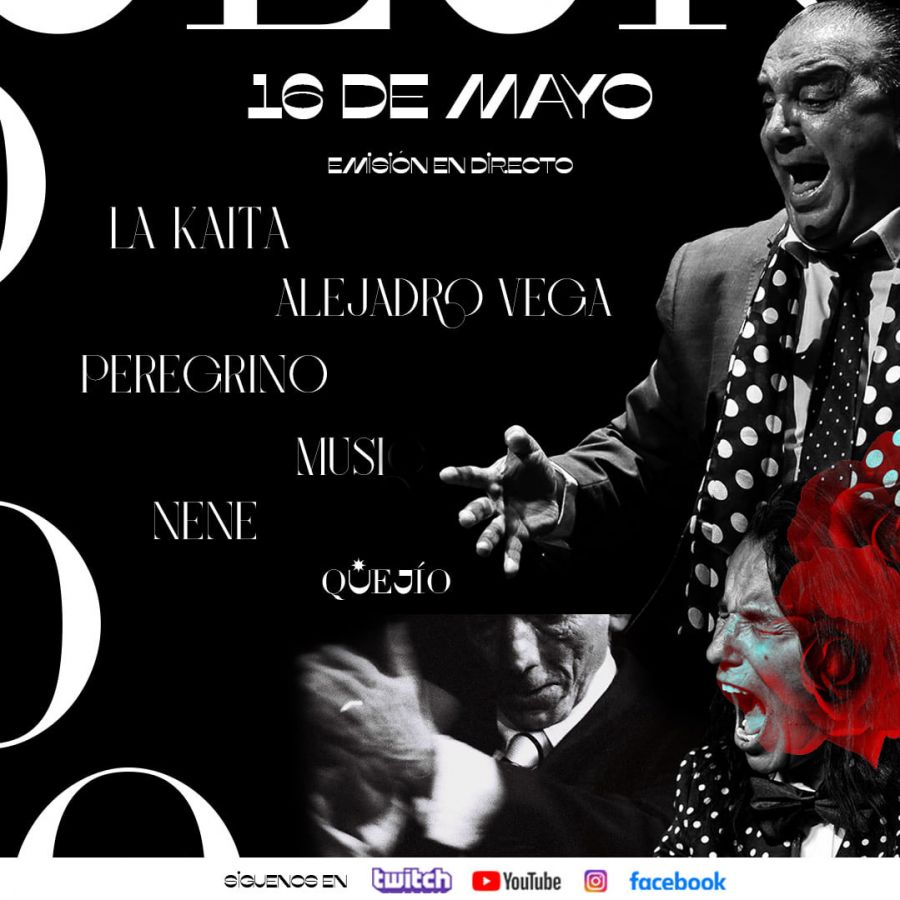 El flamenco de Badajoz, se lanza al mundo a través de twitch.