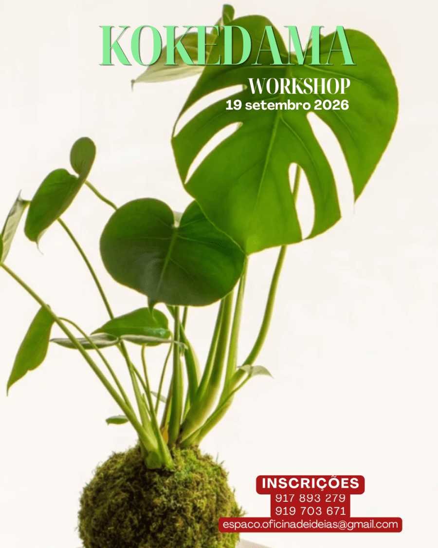 Workshop de Kokedama