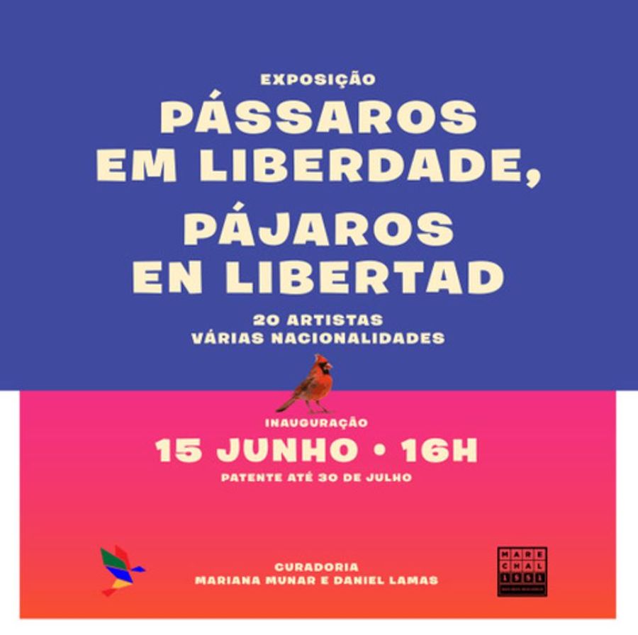 Exposição Colectiva Pássaros em Liberdade - Pájaros en Libertad