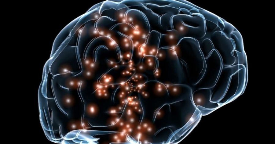NEURODIVERSIDAD EN LA INFANCIA