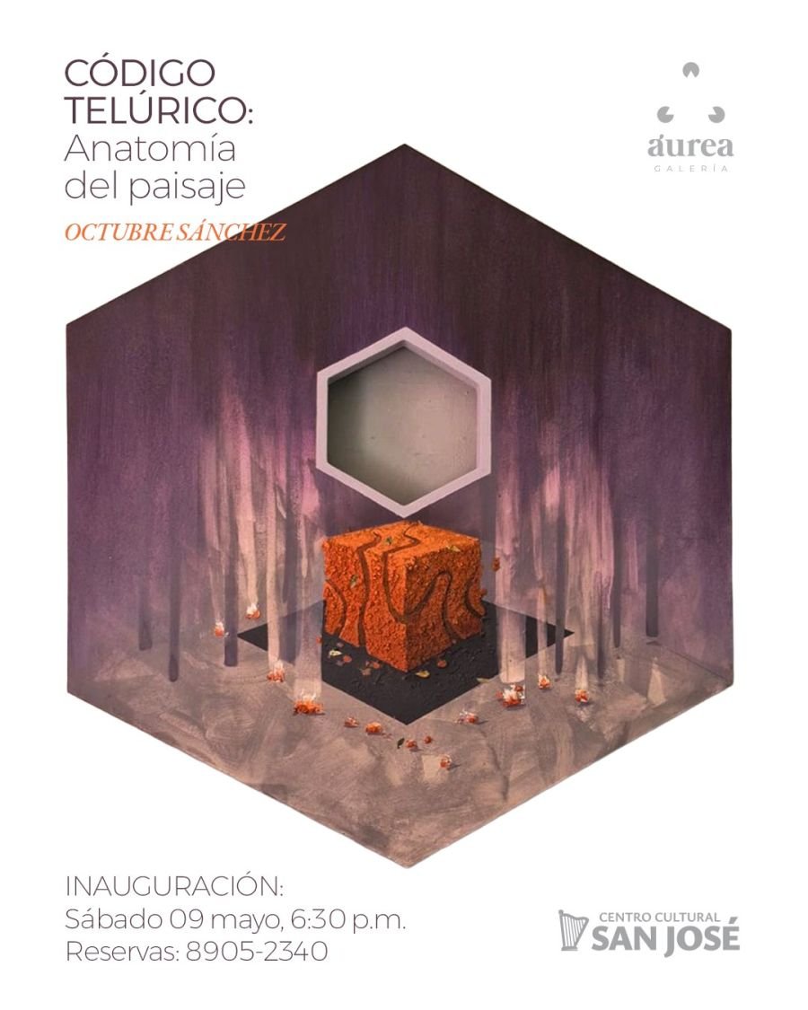 Código Telúrico, de Octubre Sánchez, en la Galería Áurea