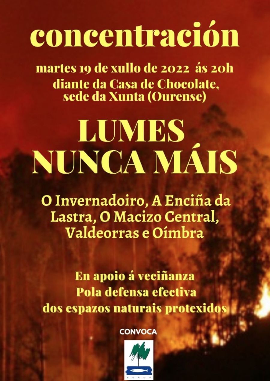 LUMES, NUNCA MÁIS!!! (Sede da Xunta - Ourense)