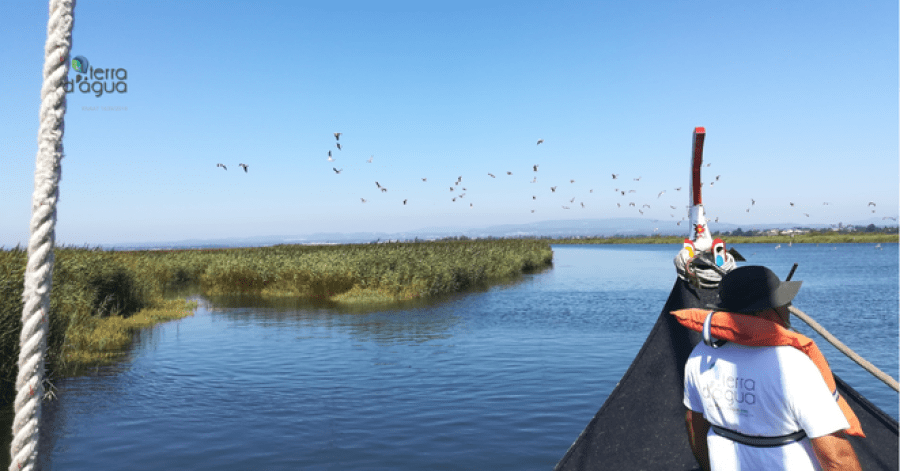 Passeio de Barco Moliceiro em plano coração da Ria de Aveiro