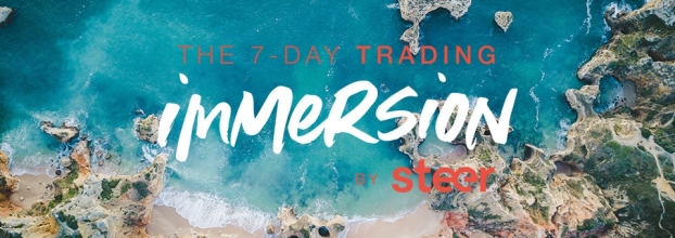 The 7-day Trading Immersion by Steer