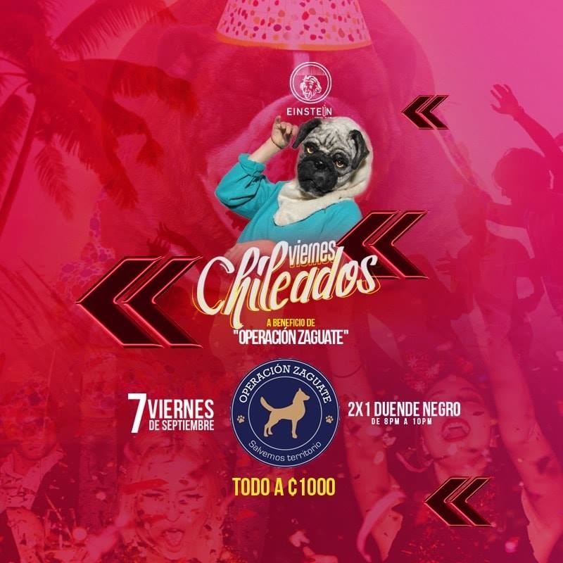 Viernes chilleados. Operación zaguate. Reggae Dj set