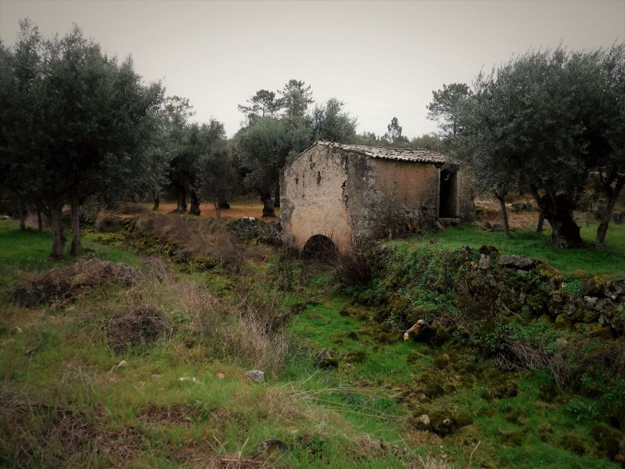 À descoberta da Nascente do Olho do Tordo