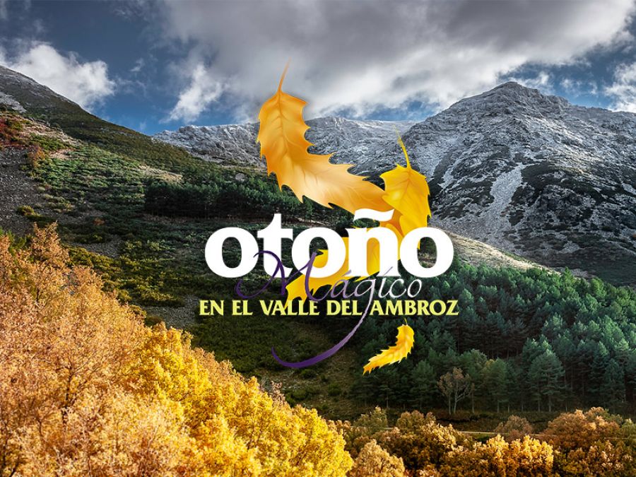Otoño Mágico en el Valle del Ambroz 2026