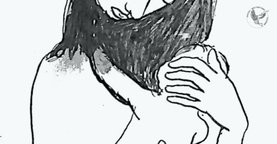 AFECTIVIDADE: FUNDAMENTO DO VÍNCULO HUMANO