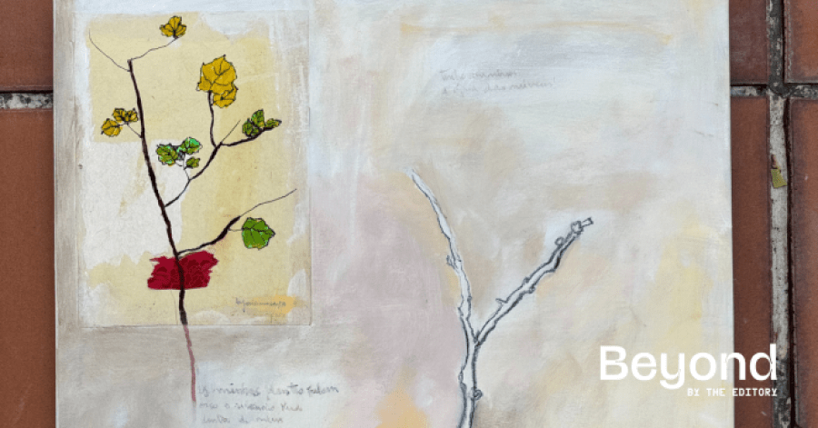 Exposição 'Em Volta do Jardim'