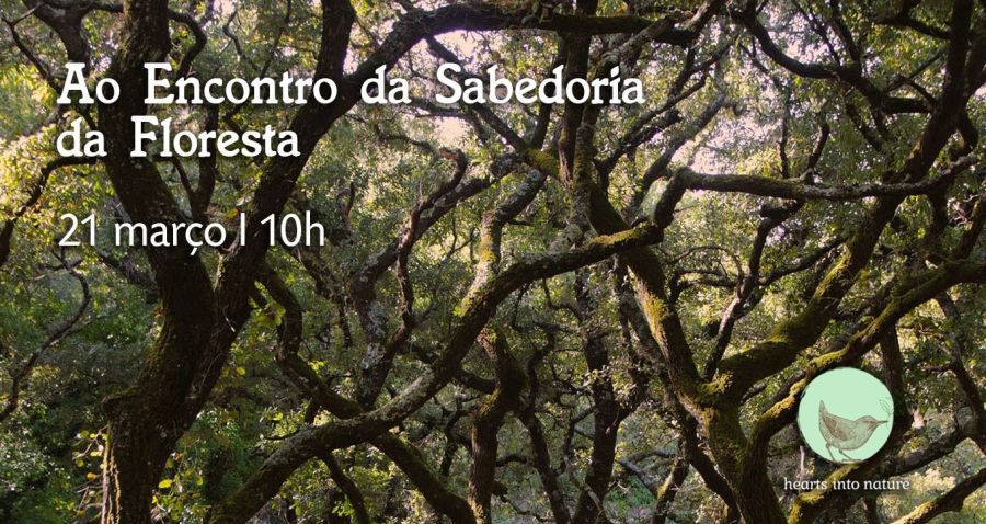 Ao Encontro da Sabedoria da Floresta