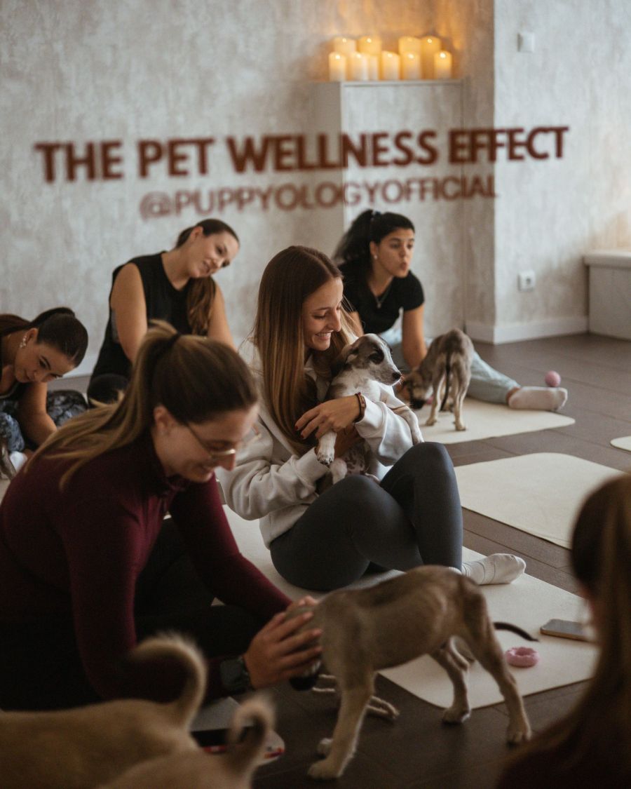 “Puppy Pilates” chega ao Lionesa Business Hub: unir saúde mental e impacto social!