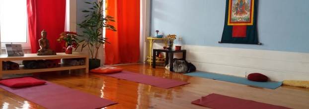 Aulas de Yoga com Joana Bacelar