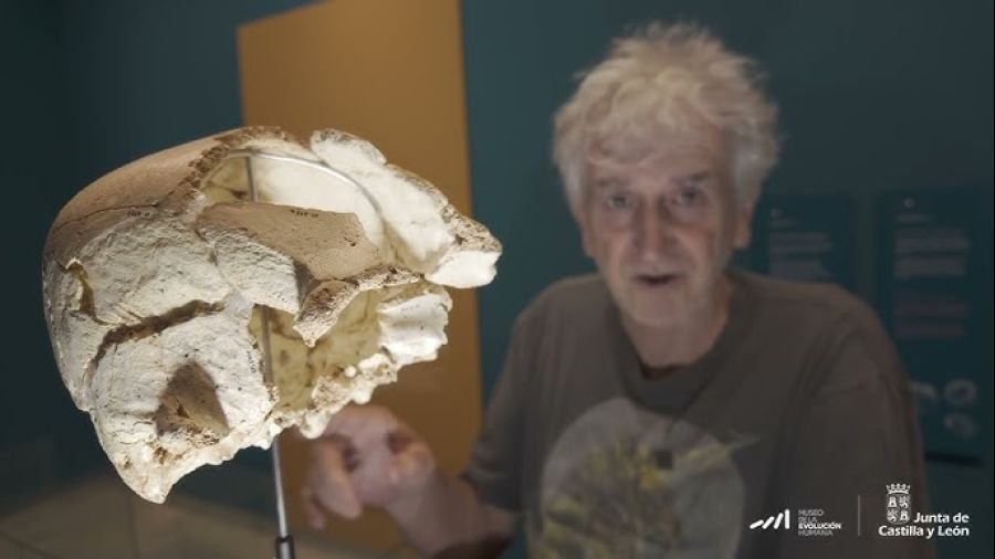 MUSEO DE LA EVOLUCIÓN HUMANA (Burgos). EXPOSICIÓN TEMPORAL: ...