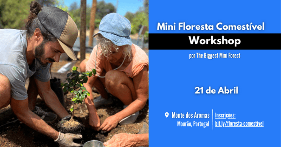 Workshop Mini Floresta Comestível