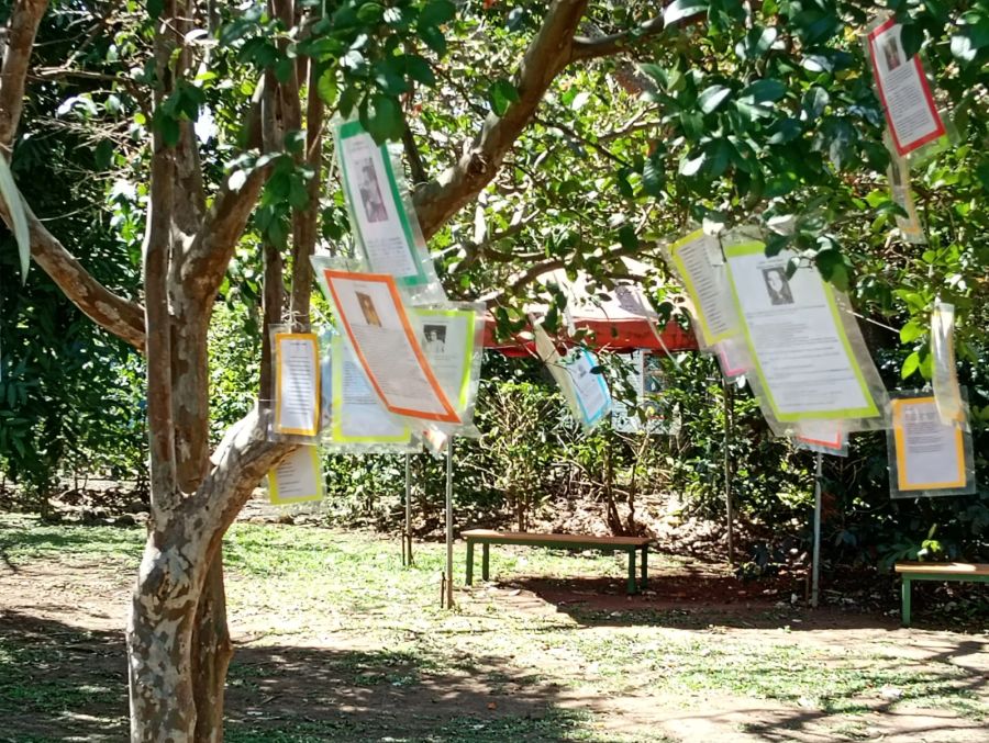Árbol de la Poesía