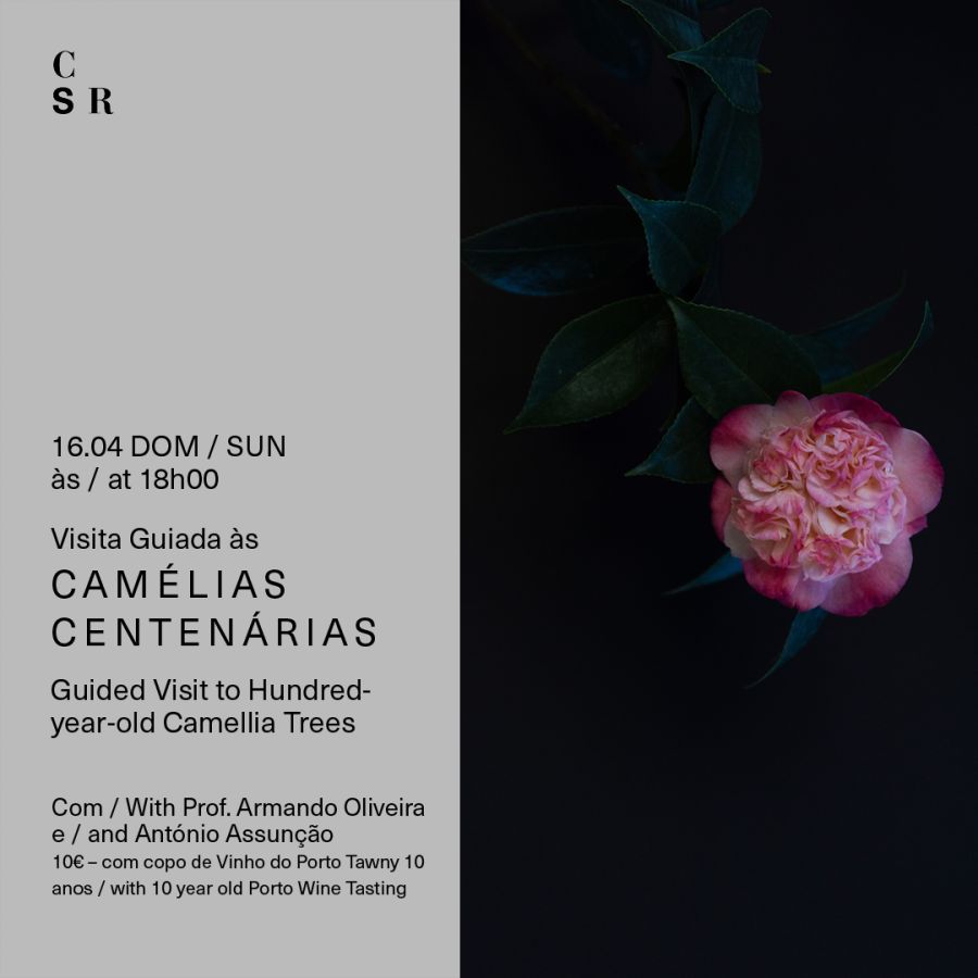 16 Abril | Visita Guiada às Camélias Centenárias com Vinho do Porto