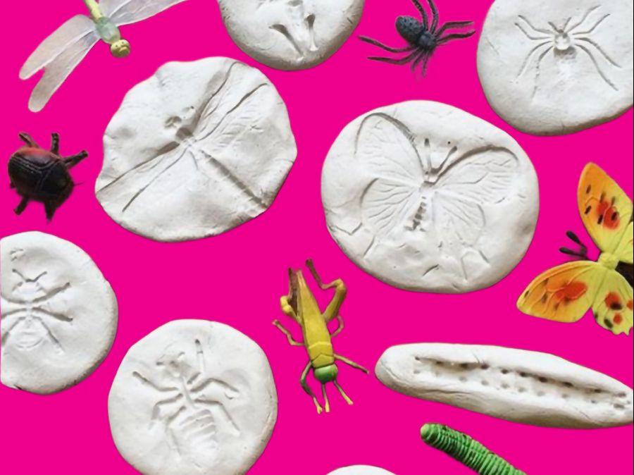 Workshop KIDS: Criar fósseis em barro com Carla Costa