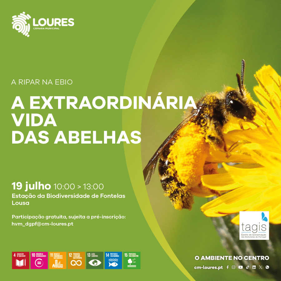 A RIPAR na EBIO - A extraordinária vida das abelhas