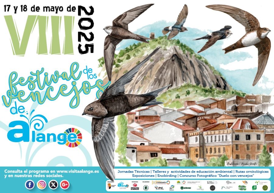 VIII Festival de los Vencejos 2025 | Alange