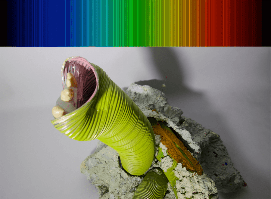 'Xénon 1.1' de Cristina Cabrita