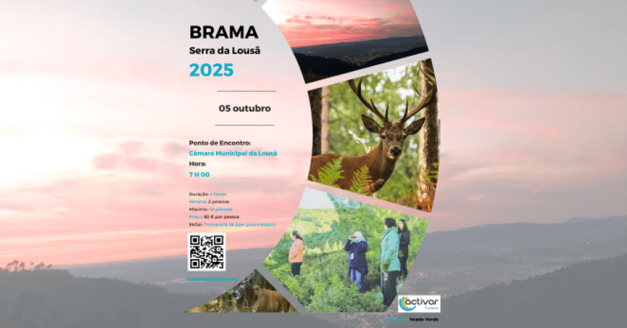 Brama na Serra da Lousã