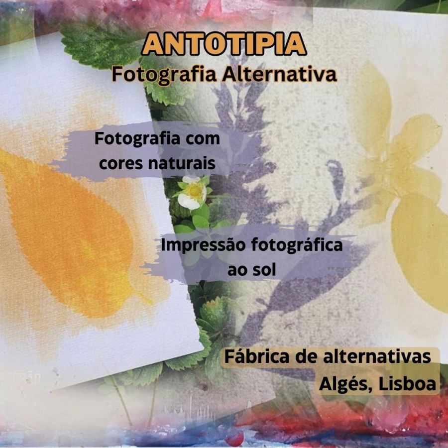 Workshop de Antotipia (Fotografia com Pigmentos Naturais)