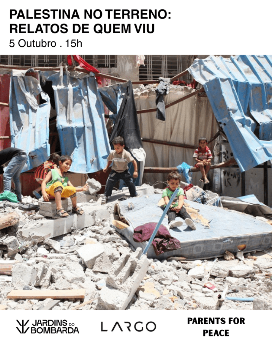 Palestina no terreno: Relatos de quem viu