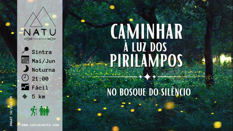 Caminhar à Luz dos Pirilampos - No Bosque do Silêncio 