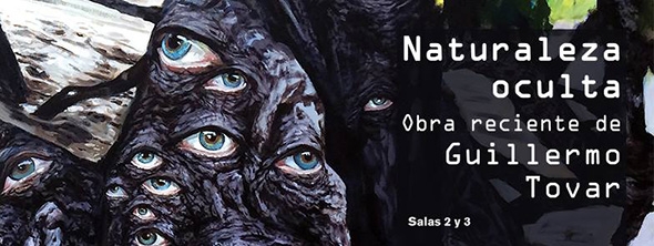 Naturaleza Oculta, de Guillermo Tovar. Salas 2-3.