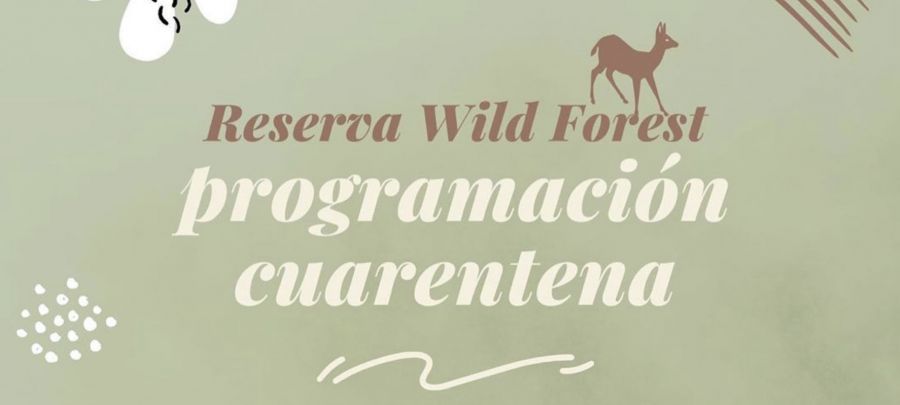 RESERVA WILD FOREST | Programación cuarentena