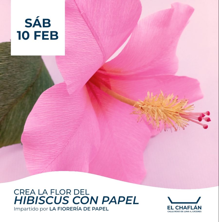 Crea La Flor Del Hibiscus Con Papel