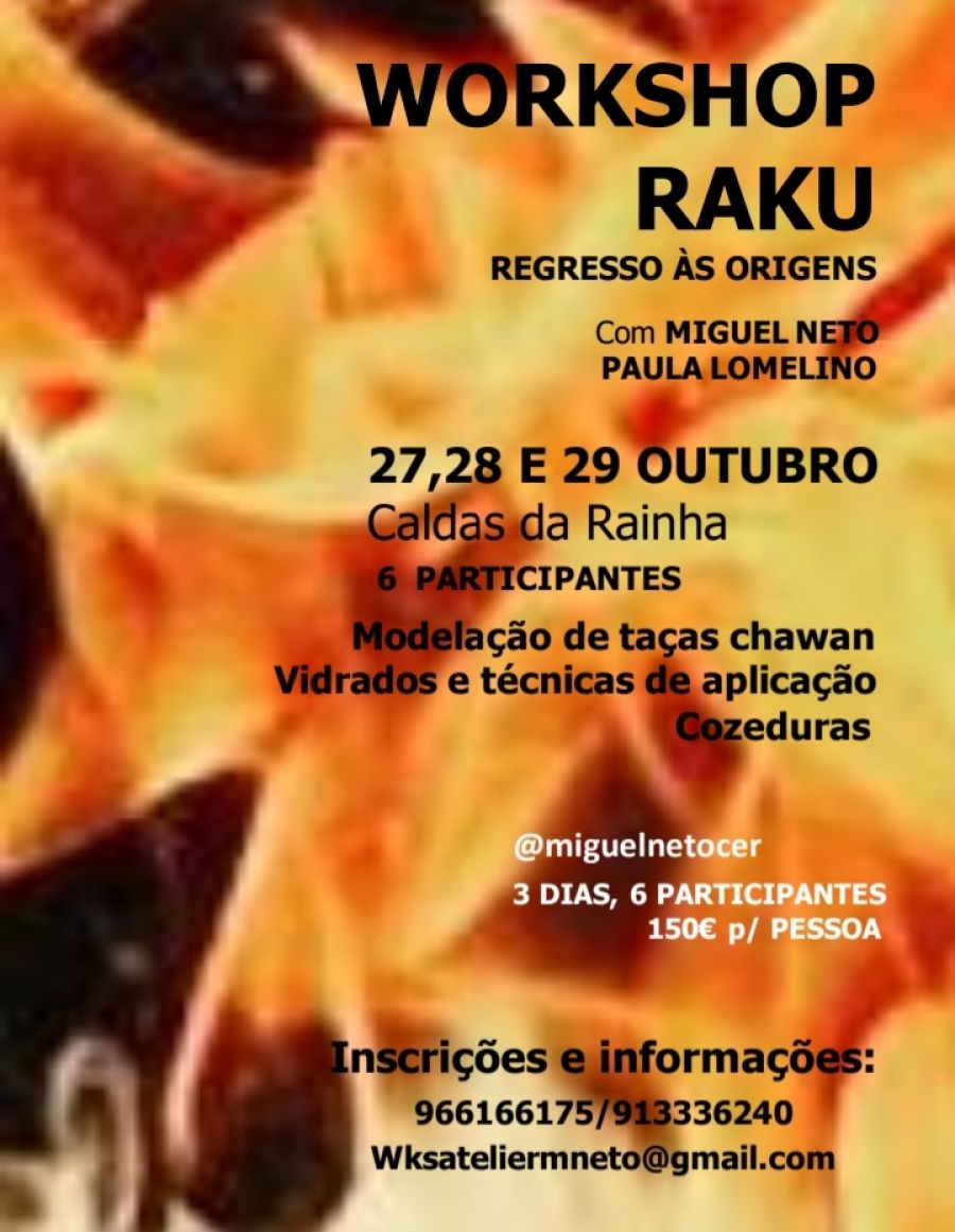 Workshop Raku