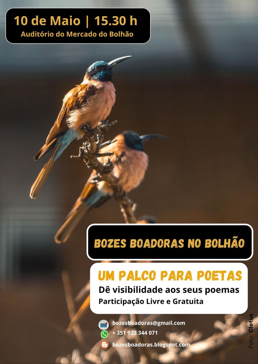 Bozes Boadoras no Bolhão