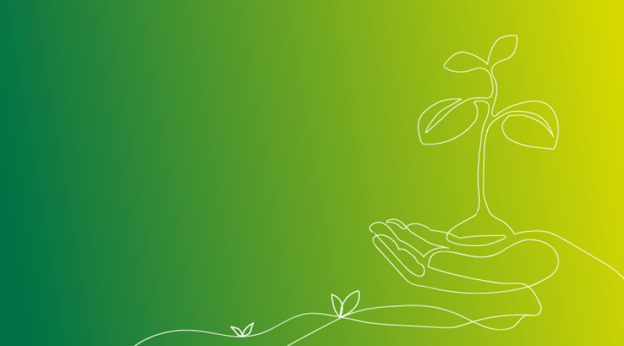 Compostagem Comunitária - Como Implementar e Monitorizar