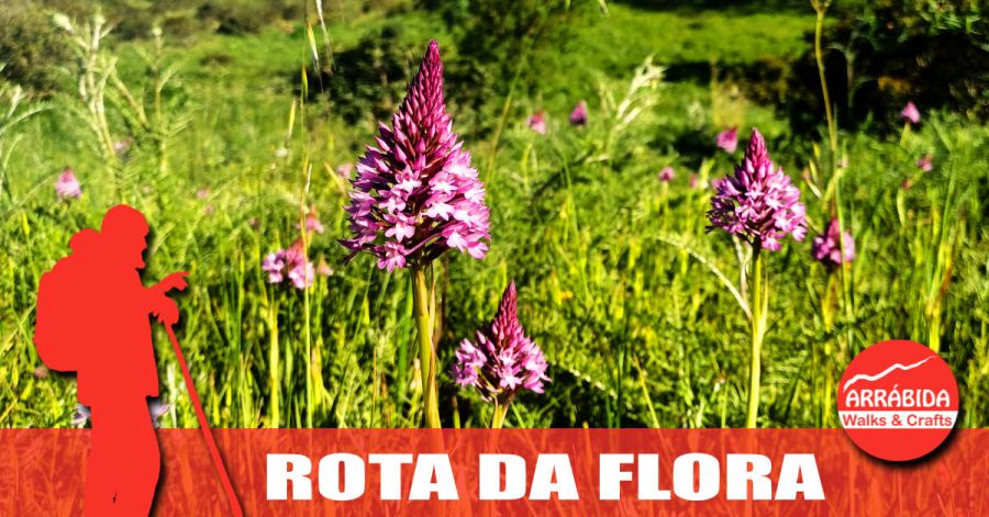 Caminhada . Rota da Flora . Sesimbra