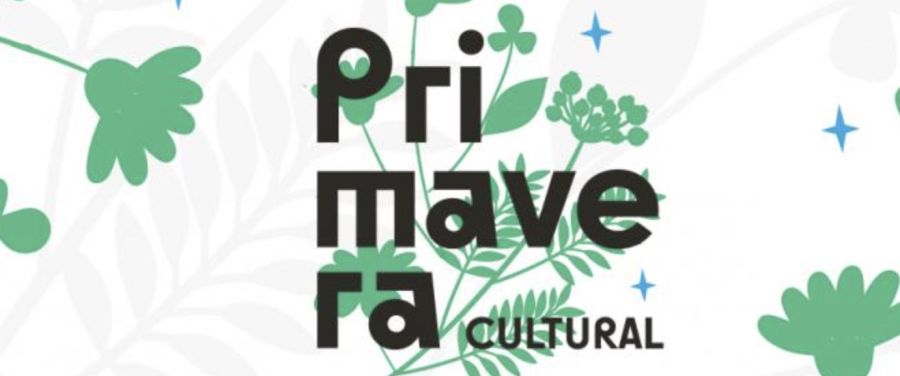 Proxección '10 anos de curtas'