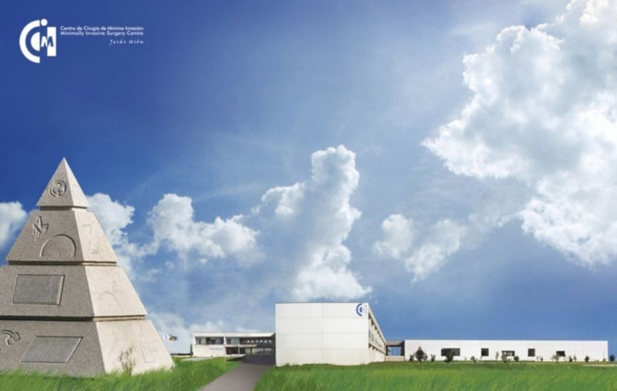 XVII CURSO DE PROSTATECTOMÍA RADICAL LAPAROSCÓPICA